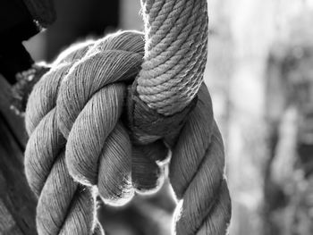 Close up of a knot