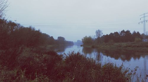 Reflection of trees in calm lake