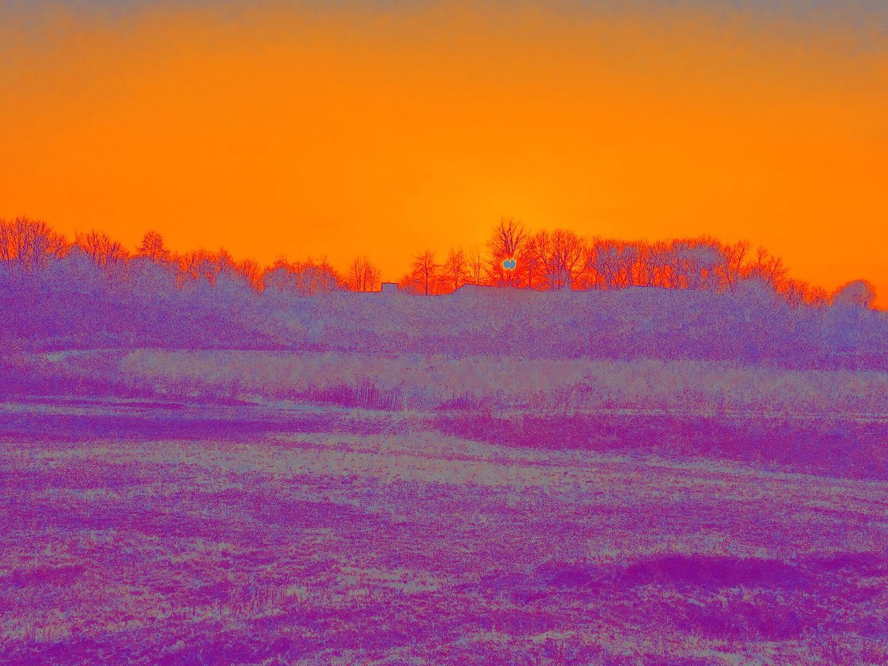 CLOSE-UP OF MULTI COLORED ORANGE SKY