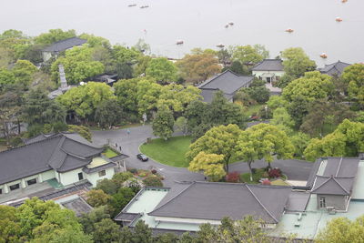 High angle view of houses and trees and buildings