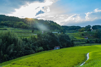 Scenic view of agricultural field against sky