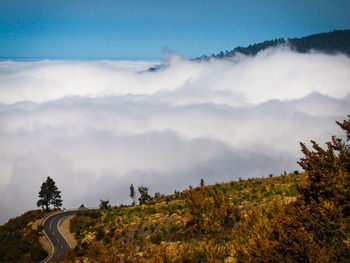 Scenic view of landscape against sky