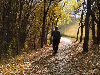 Rear view of man walking on road in forest