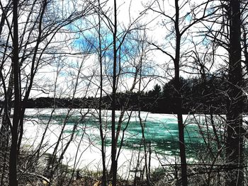 Bare trees by lake against sky