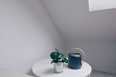 Potted plant and watering can on table against white wall