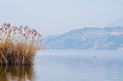 Scenic view of lake by mountain against sky