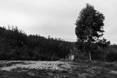 Trees on landscape against cloudy sky