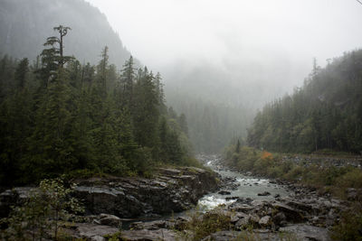 Scenic view of waterfall in forest against sky