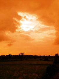 Scenic view of field against orange sky