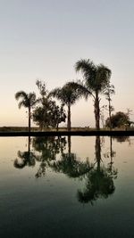 Scenic view of lake by trees against sky