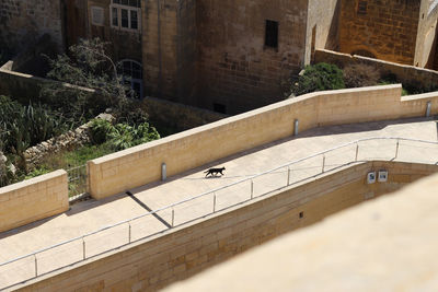 High angle view of cat on retaining wall