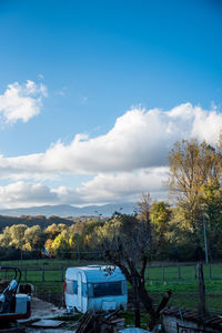 Trees by road against sky