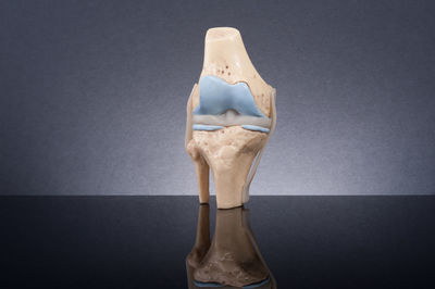 Close-up of mannequin against white background