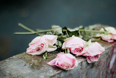 Close-up of pink rose bouquet