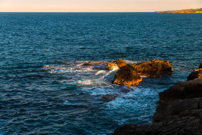 View of crab in sea