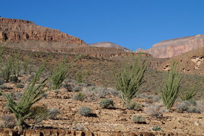 Scenic view of mountains against clear blue sky