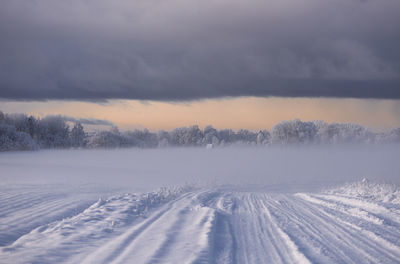 Country road on a snowy foggy winter morning