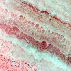 Close-up of pink petals on rock