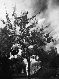 Low angle view of trees against cloudy sky