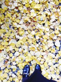 Low section of man standing on yellow leaves