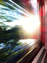 Sun shining through trees