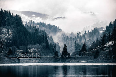 Scenic view of lake by trees against sky