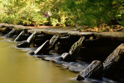 Tarr steps over river in forest