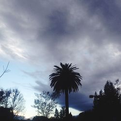 Low angle view of silhouette trees against sky