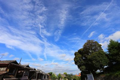 Low angle view of trees against blue sky