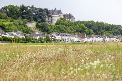 Scenic view of field by houses against sky