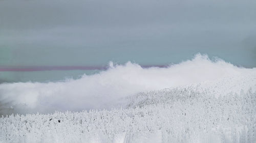 winter