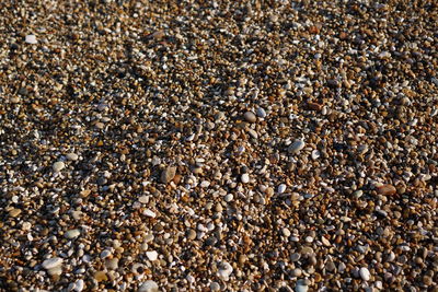 High angle view of pebbles at beach