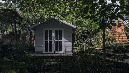 House against trees and plants