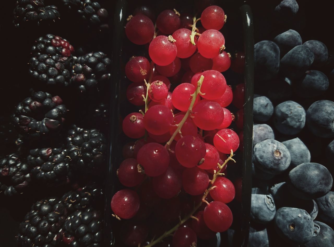 CLOSE-UP OF RED BERRIES IN CONTAINER