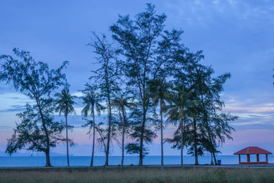 Trees on field against sky