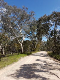 Road amidst trees against clear sky