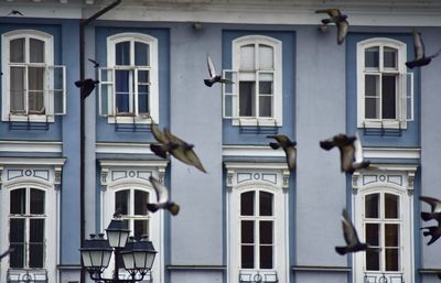 View of residential building timisoara 