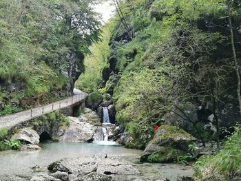 Scenic view of river flowing through rocks