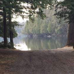 Reflection of trees in lake