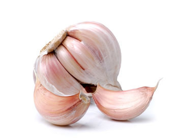 Close-up of bread against white background