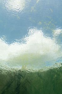 Reflection of trees in water