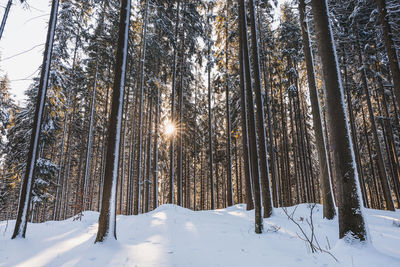 Low angle view of snow covered landscape