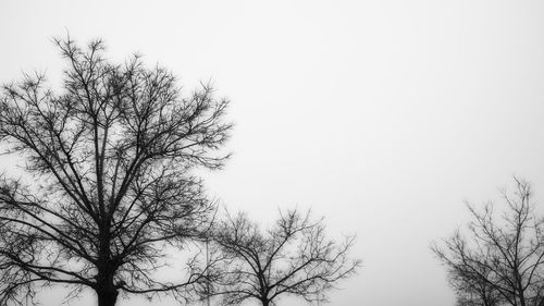 Low angle view of bare tree against clear sky