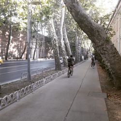 People riding bicycle on road in city