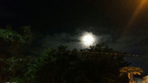 Low angle view of trees against moon at night