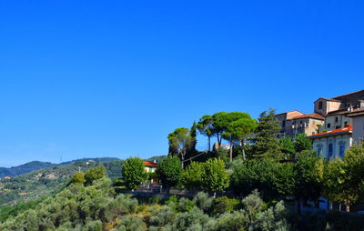 Trees and houses against clear blue sky