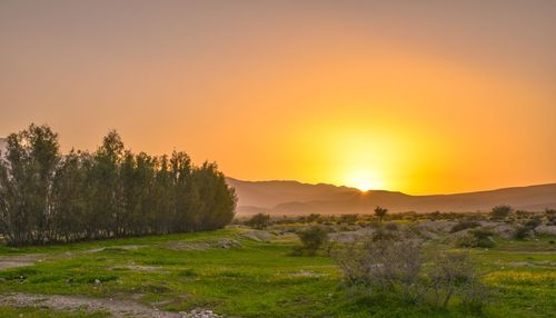 Scenic view of field against sky during sunset