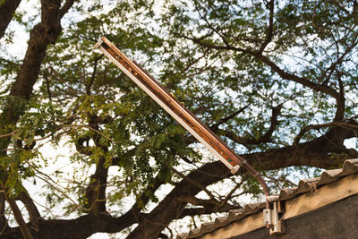 Low angle view of tree against sky