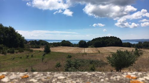 Scenic view of field against sky