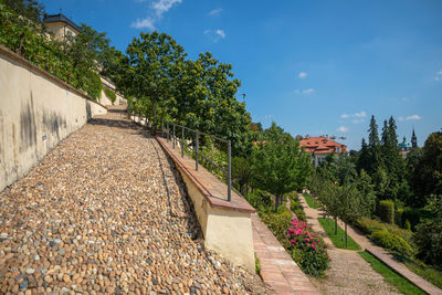 Footpath amidst trees and buildings against sky